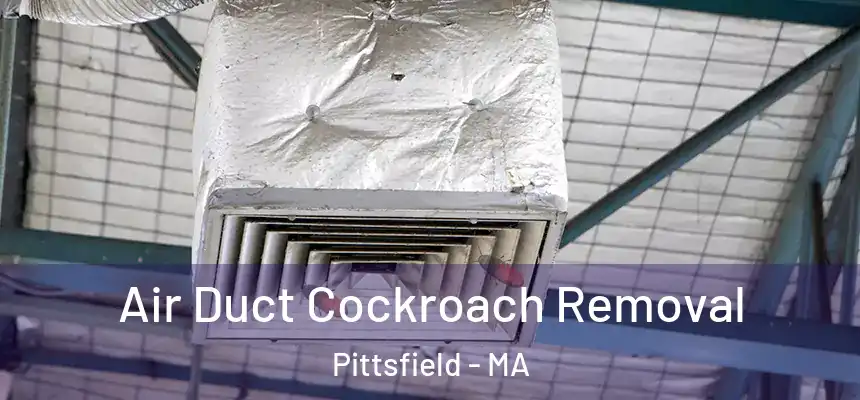 Air Duct Cockroach Removal Pittsfield - MA