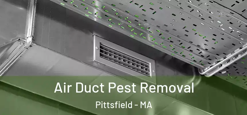 Air Duct Pest Removal Pittsfield - MA