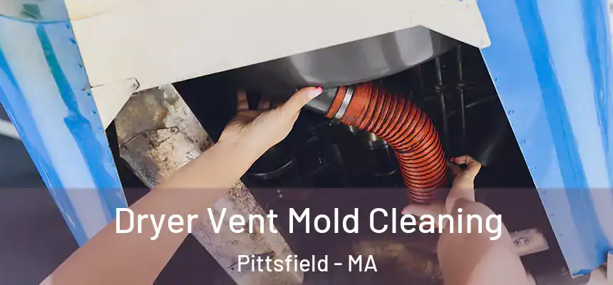 Dryer Vent Mold Cleaning Pittsfield - MA