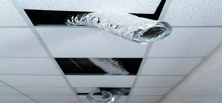 Our Air Duct Pet Hair Removal Services in Pittsfield, MA