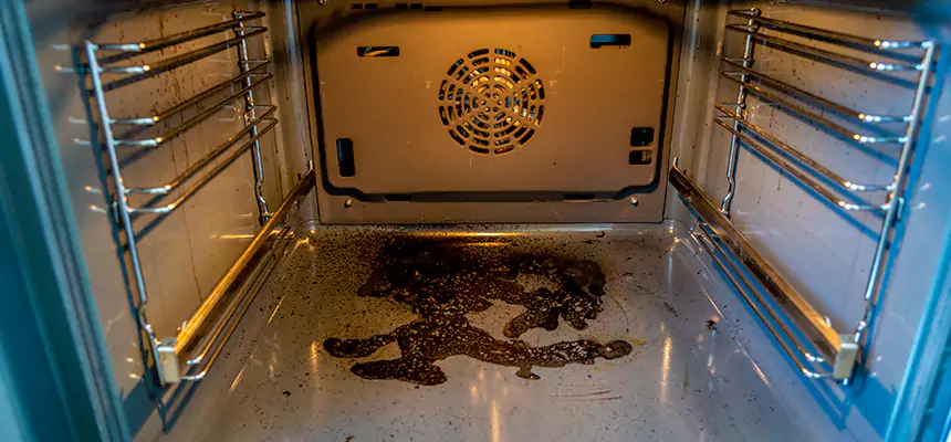 Our Dryer Vent Mold Cleaning Services in Pittsfield, MA