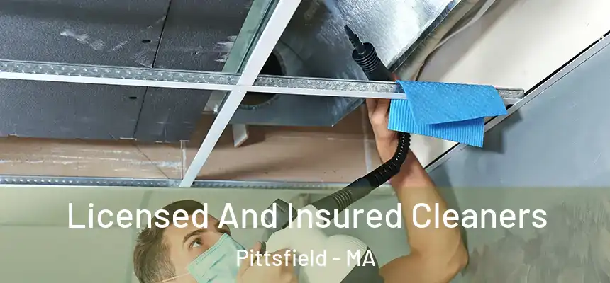 Licensed And Insured Cleaners Pittsfield - MA