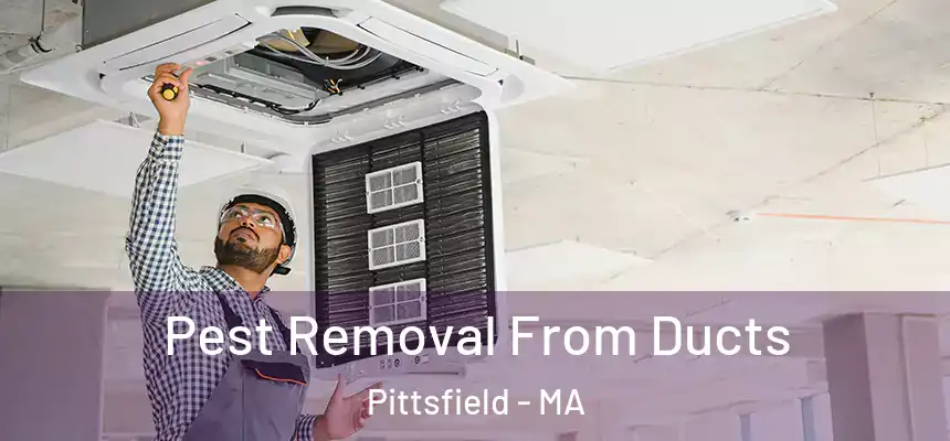  Pest Removal From Ducts Pittsfield - MA