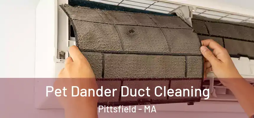 Pet Dander Duct Cleaning Pittsfield - MA