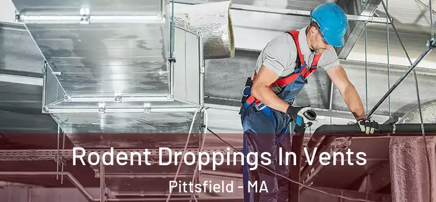  Rodent Droppings In Vents Pittsfield - MA
