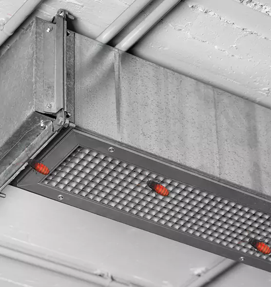 About Air Duct Cockroach Removal in Pittsfield, MA
