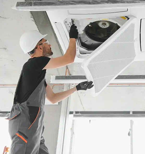 About Air Duct Rodent Removal in Pittsfield, MA